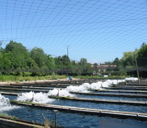 Filet Barrage - maille 48x48mm - Sur Mesure