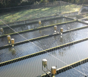 Filet Barrage - maille 48x48mm - Sur Mesure