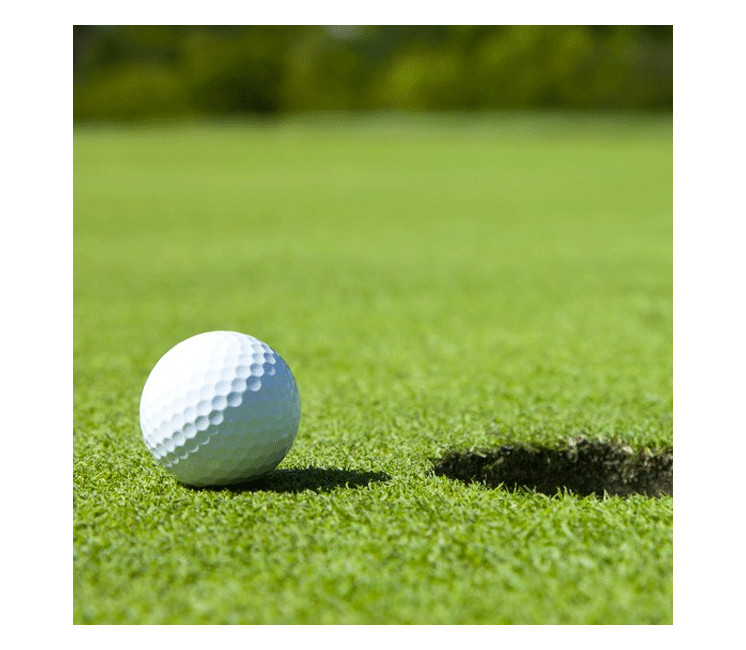 Gazon synthétique green de golf 10mm Gazon synthétique green de golf 10mm