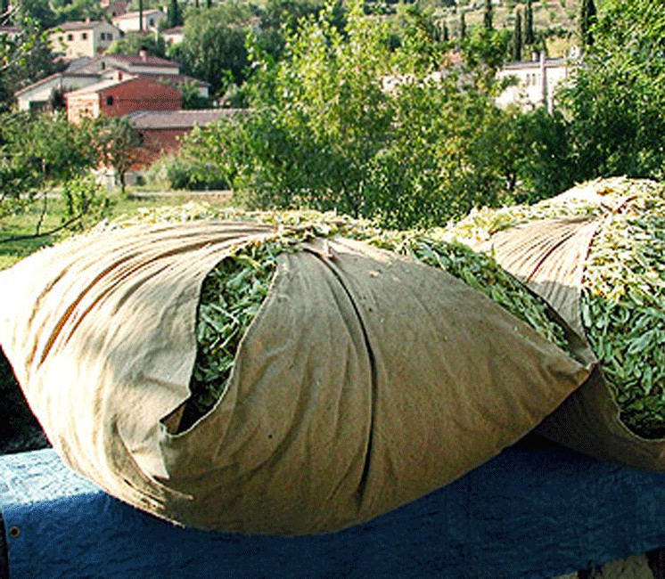 Bourras - Nappe de jute pour jardin & potager