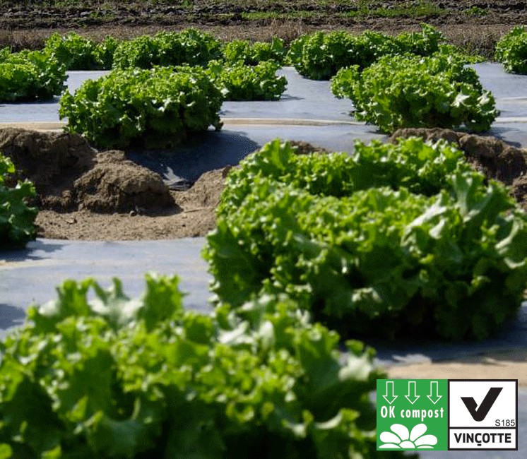 Film de Paillage Biodégradable - Largeur 1.4m