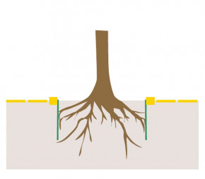 Anti Racines / Rhizomes / Bambou Anti Racines / Rhizomes / Bambou