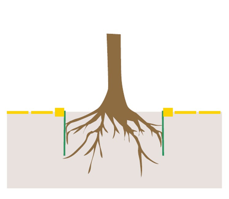 Anti Racines / Rhizomes / Bambou Anti Racines / Rhizomes / Bambou