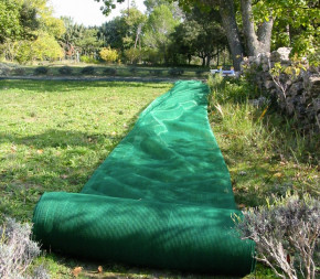 Filet de Récolte 65g Rouleau de 100m