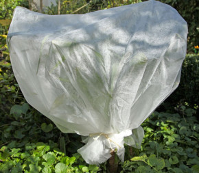 Voile d'hivernage Voile d'hivernage