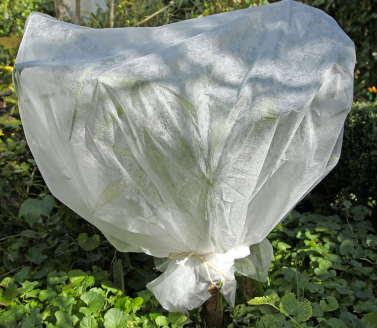 Voile d'hivernage Voile d'hivernage