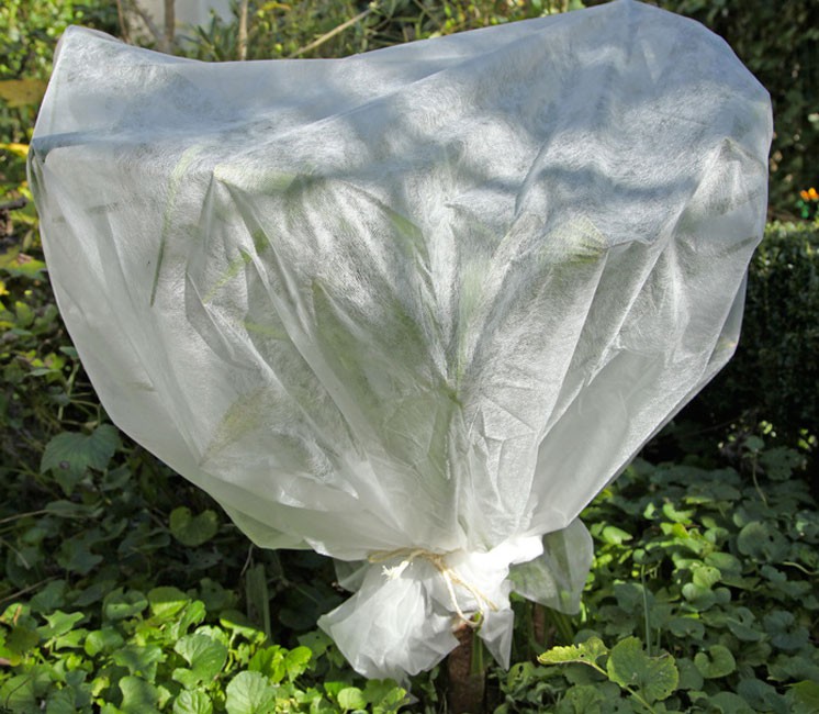 Voile d'hivernage 10m - 30g/m²