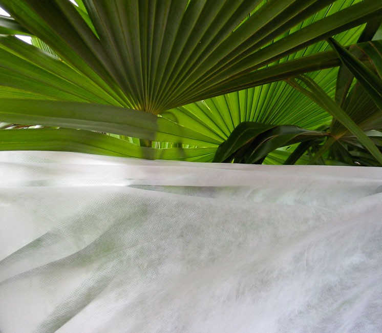Voile d'hivernage Voile d'hivernage