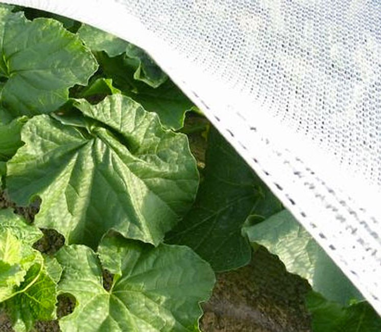 Filet de protection contre les insectes pour plantes potagères de jardin  protègent le tunnel de filet Fine Me 