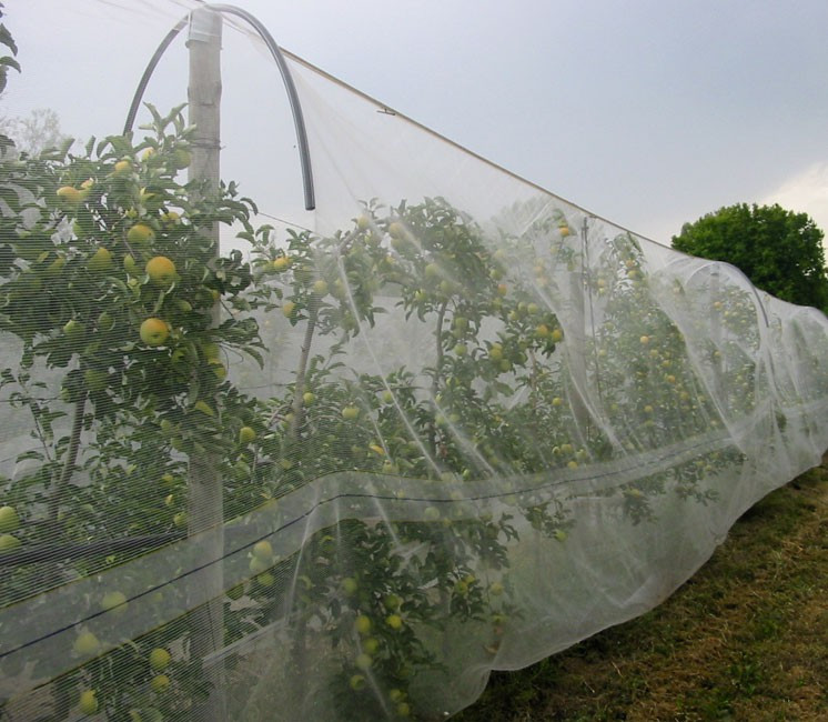 Filet anti-insecte Alt'Carpo - Découpe au mètre