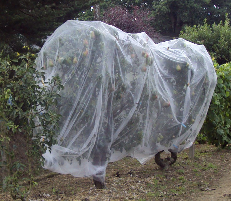 Jardin Filet Anti Insecte Potager: 3 x 10 m Maille Fine Protection