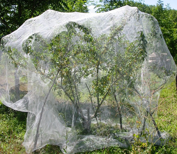 Filet anti-insecte Alt'Carpo - Découpe au mètre