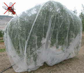 Filet Anti Insecte, 3 X 6 M Filet De Protection Anti-insectes