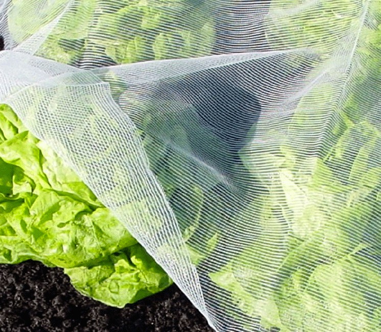 Bioclimat (Filet Anti-Insecte)