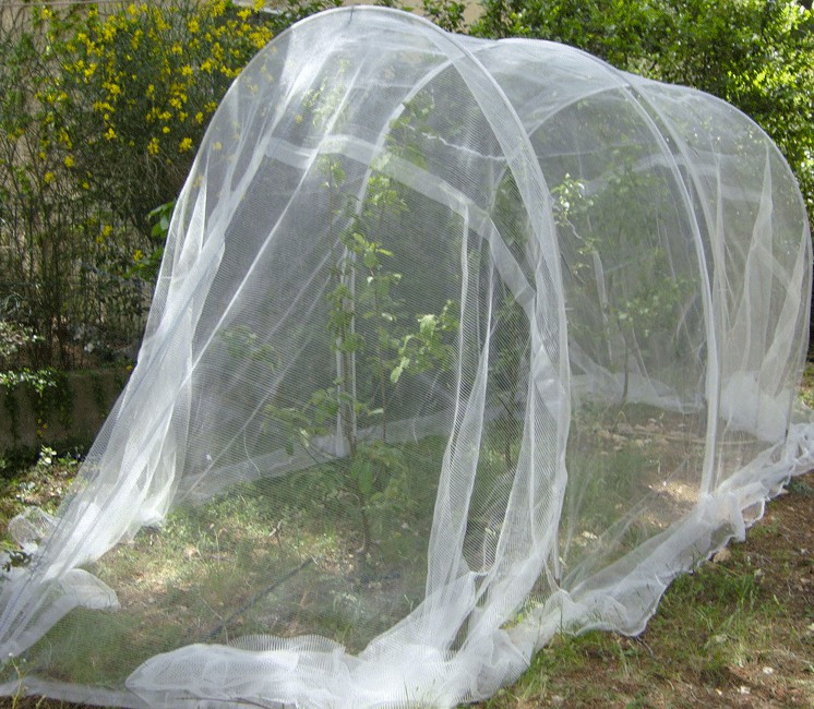 Filet Anti Insecte, 3 X 6 M Filet De Protection Anti-insectes