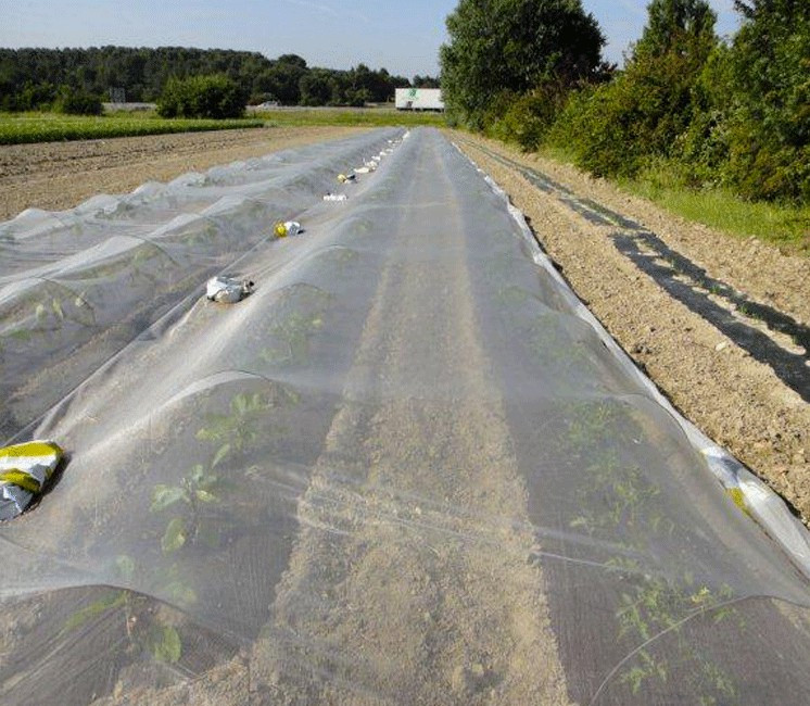 Filet de Anti-Insecte Bioclimat Grande Taille