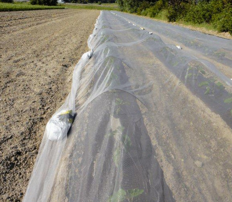 Filet de Anti-Insecte Bioclimat Grande Taille Filet de Anti-Insecte Bioclimat Grande Taille