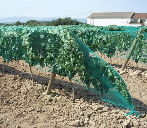 Filet de protection contre les oiseaux, lourd, clôture de jardin