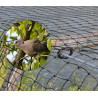 Filet Anti-Pigeon - Maille 50mm - Sans ralingue