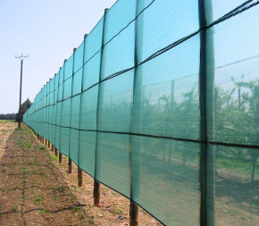 Filet Brise-vent - 2 x 100m Filet Brise-vent - 2 x 100m