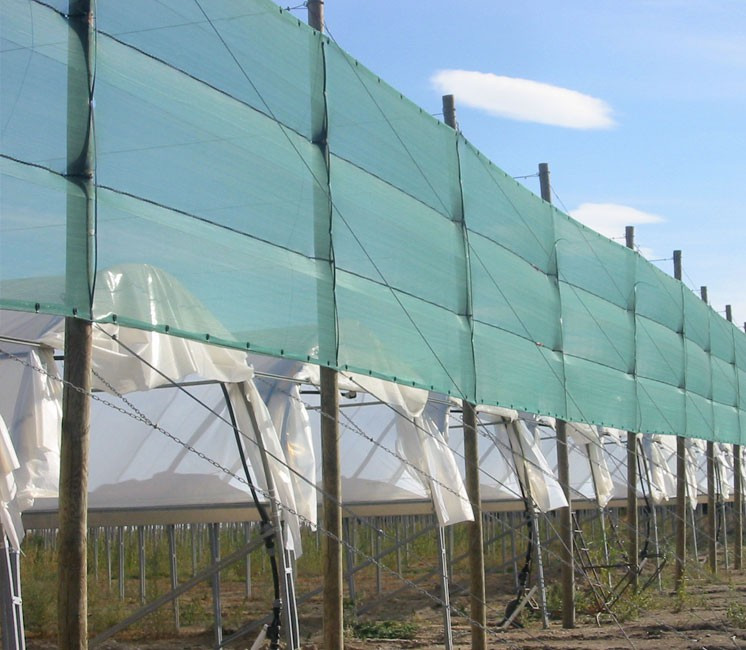 Filet Brise-vent - 2 x 100m Filet Brise-vent - 2 x 100m