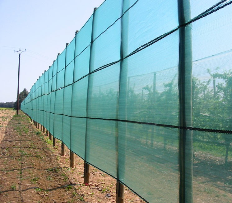 Filet Brise-vent - 2,5 x 100m Filet Brise-vent - 2,5 x 100m