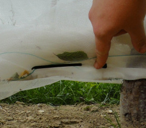 Epingle pour filet - 14cm Epingle pour filet - 14cm