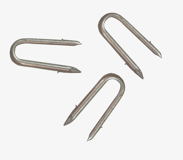 Crampillons Crampillons