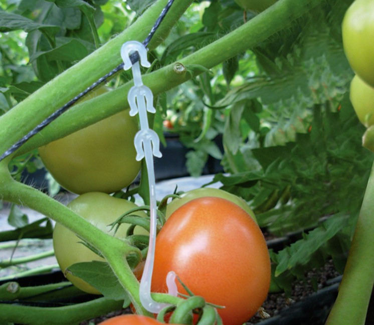 Support bouquet (x 1 000 pièces)