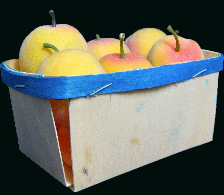 Lot de 100 barquettes en bois 500g