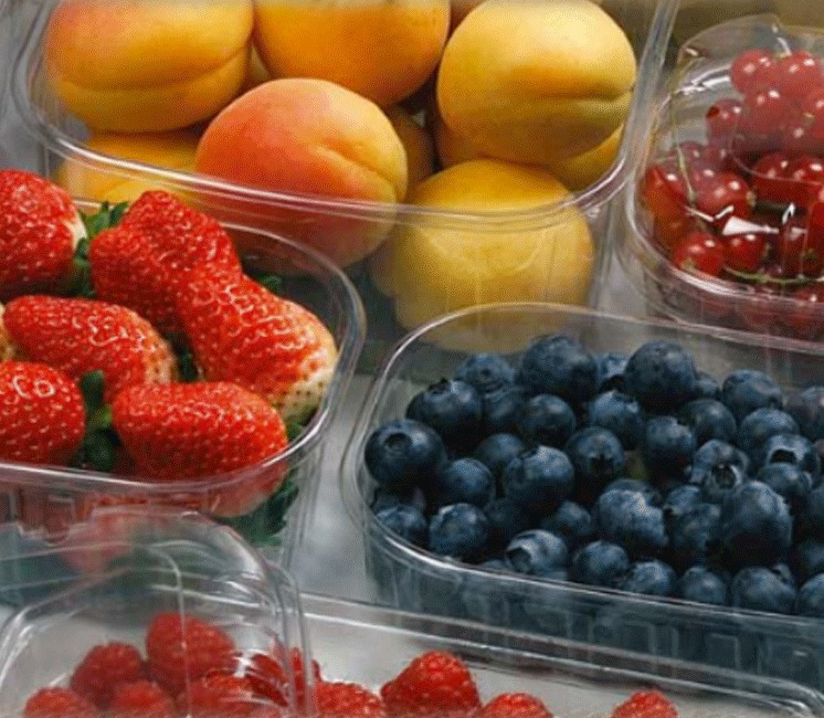 Lot de 100 barquettes PET 125g avec ou sans couvercle Lot de 100 barquettes PET 125g avec ou sans couvercle