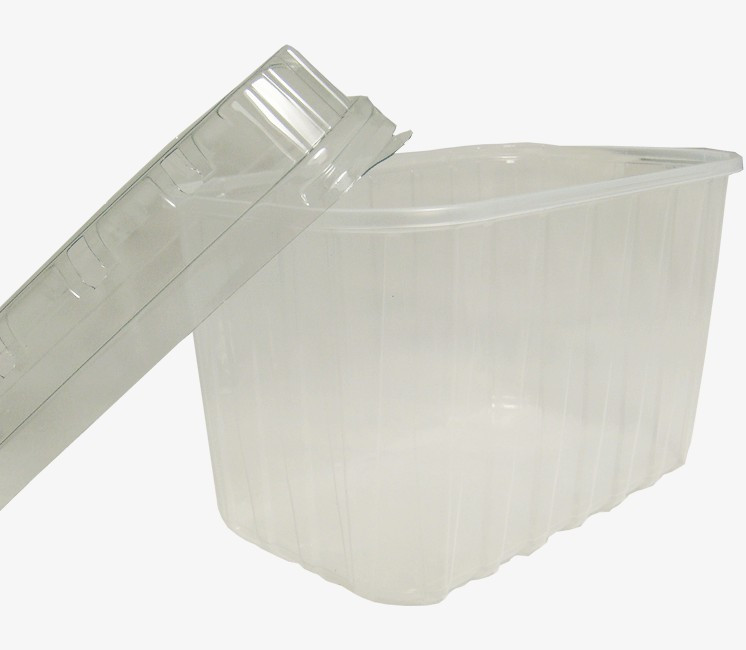 Barquette Plastique Prof 1L (5p) 