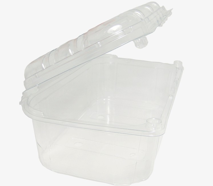 100 barquettes PET 500g avec couvercle attaché