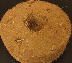 Disque de substrat coco