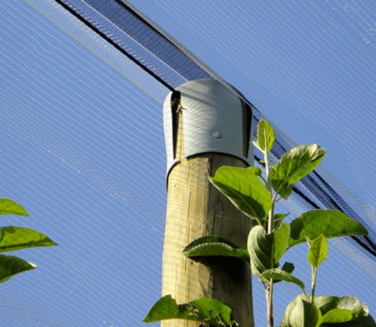 Chapeau de Protection - Ø 10cm