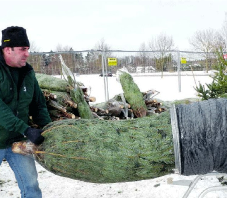 Goulotte pour filet à sapin Goulotte pour filet à sapin