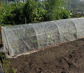 Blanc Filet Anti Insecte Potager 3 x 6 M, Filet Protection Potager, Filet  Jardin Convient pour Protection Plantes Fleurs Légumes Fruits