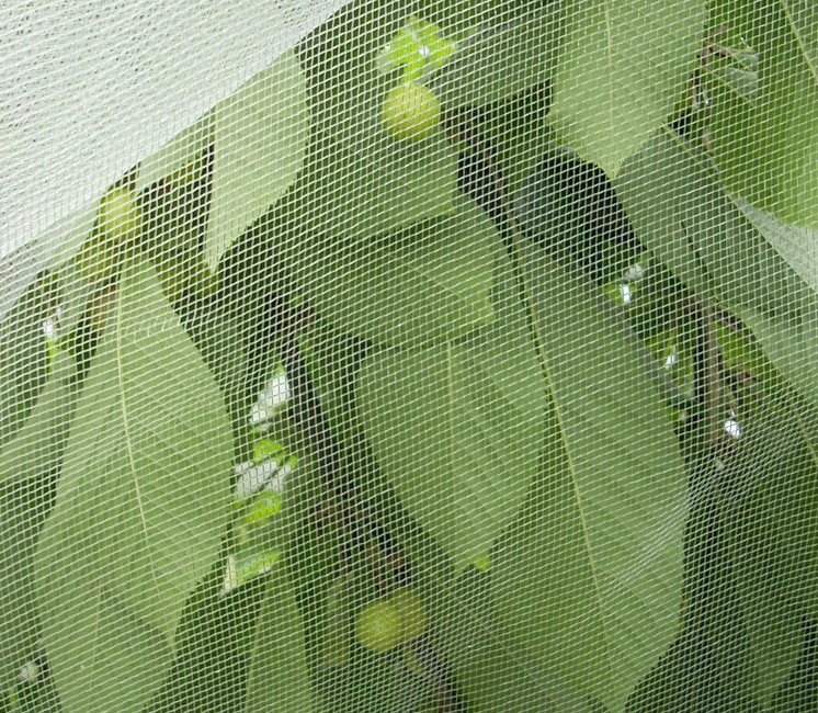 Alt'Mouche au mètre (Filet Anti-Insecte) Alt'Mouche au mètre (Filet Anti-Insecte)
