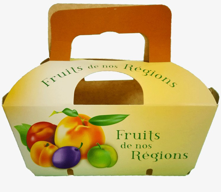 100 barquettes en carton impression et anses 750g