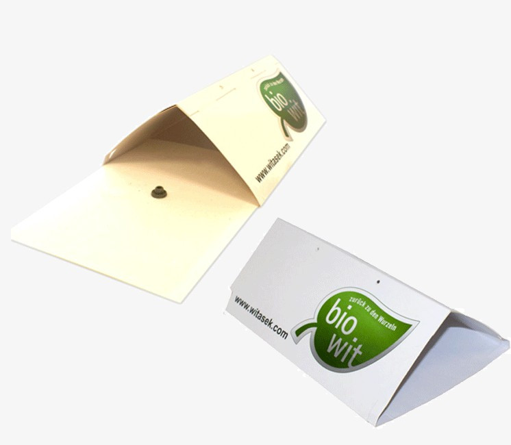 Piège à Phéromone Papillon du cerisier