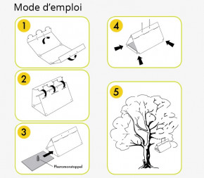 Piège à Phéromone Pyrale du Buis