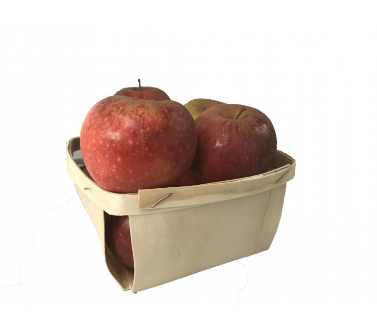 100 barquettes en bois 1kg