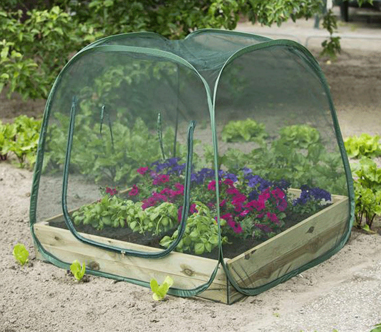 Filet à mailles végétales filet de jardin en Nylon Anti-insectes couverture  réutilisable jardin filet à mailles végétales serre plantes filet d'écran 