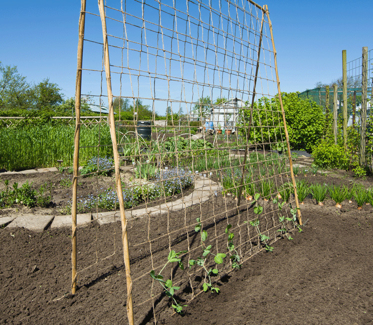 Filet de protection du jardin - Jardiland