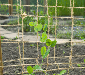 Filet à ramer en jute