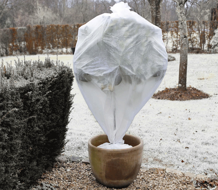 Voile d'hivernage et autres astuces pour protéger les plantes du gel -  France Serres