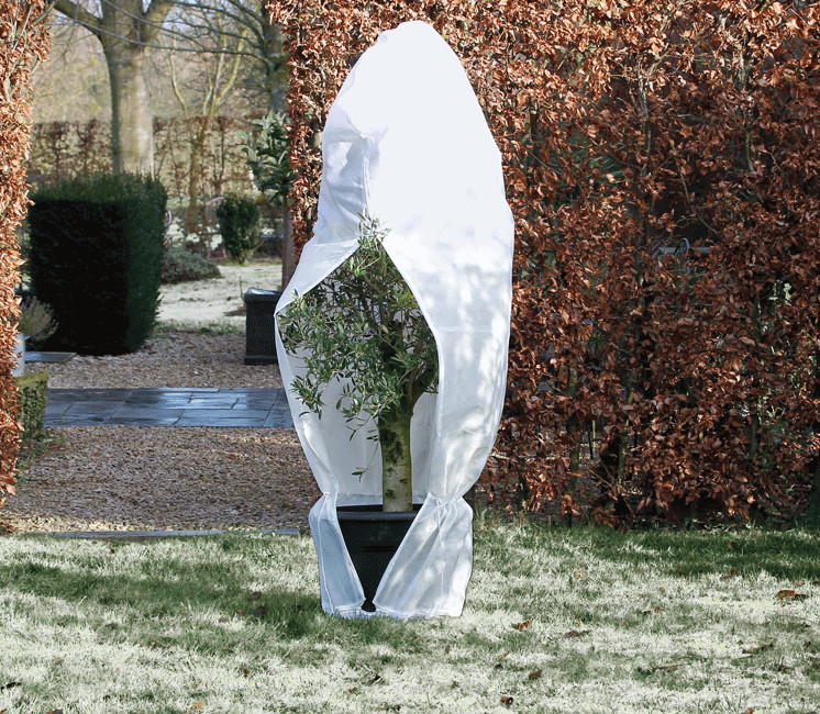 Housse d'hivernage et de protection pour plantes 250x350 cm