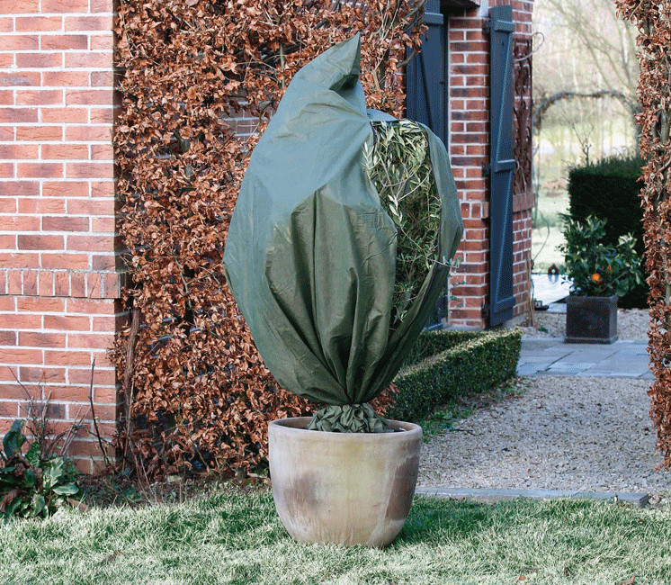 Housse d'hivernage zippée verte