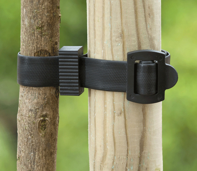 Collier de tuteurage caoutchouc