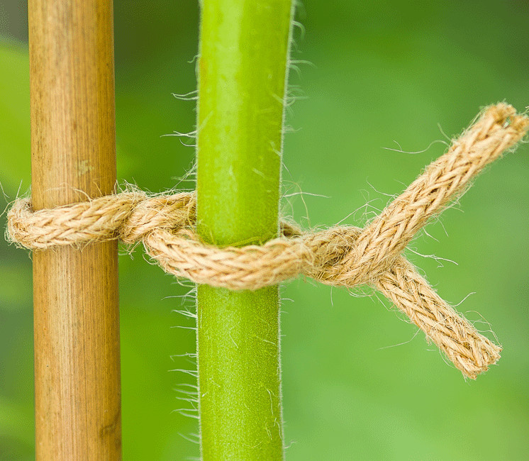 Lien de tuteurage souple métal et jute